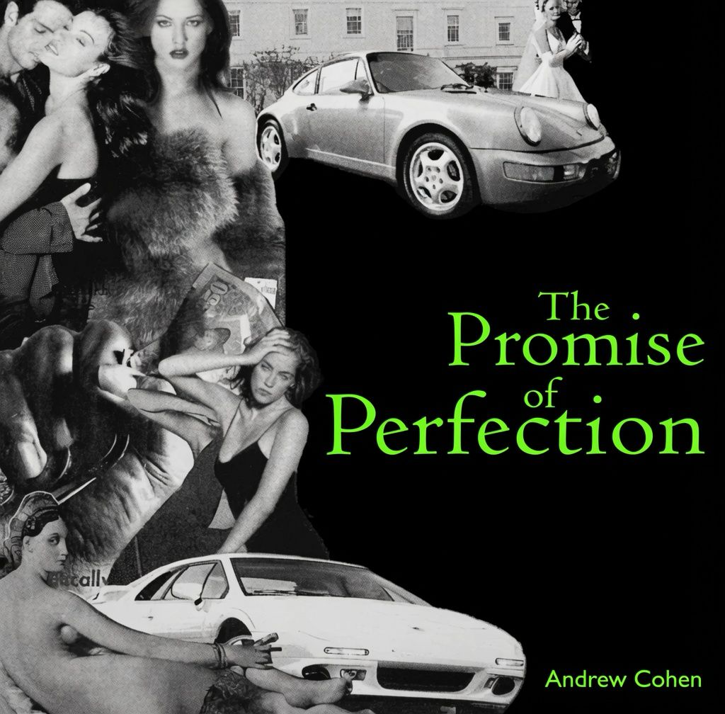 Cover of The Promise of Perfection (1998) by Andrew Cohen